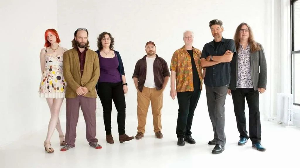 THE MAGNETIC FIELDS